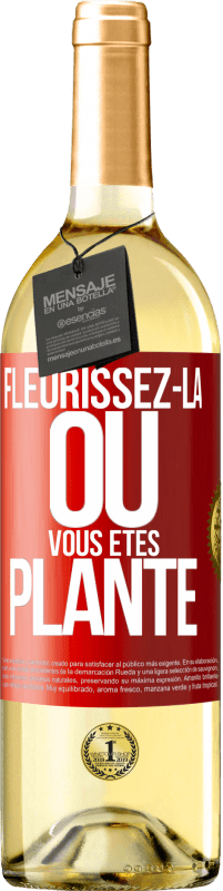 29,95 € | Vin blanc Édition WHITE Fleurissez- là où vous êtes planté Étiquette Rouge. Étiquette personnalisable Vin jeune Récolte 2024 Verdejo