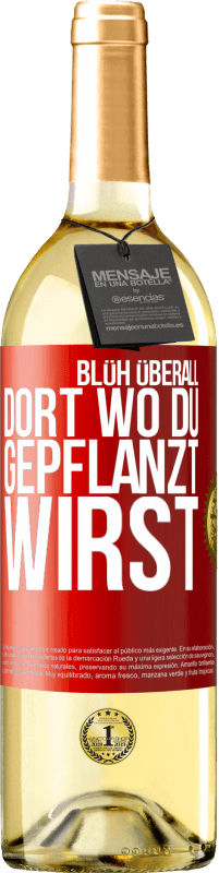 29,95 € | Weißwein WHITE Ausgabe Blüh überall dort, wo du gepflanzt wirst Rote Markierung. Anpassbares Etikett Junger Wein Ernte 2024 Verdejo