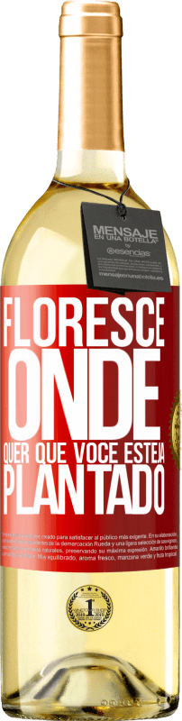 «Floresce onde quer que você esteja plantado» Edição WHITE
