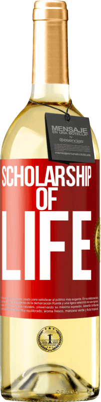 «Scholarship of life» WHITE Edition
