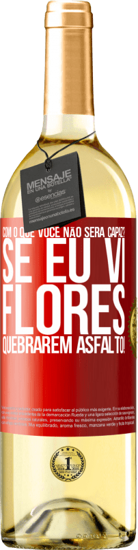 «com o que você não será capaz? Se eu vi flores quebrarem asfalto!» Edição WHITE