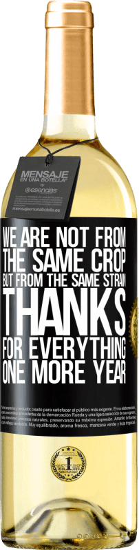 29,95 € Free Shipping | White Wine WHITE Edition We are not from the same crop, but from the same strain. Thanks for everything, one more year Black Label. Customizable label Young wine Harvest 2023 Verdejo