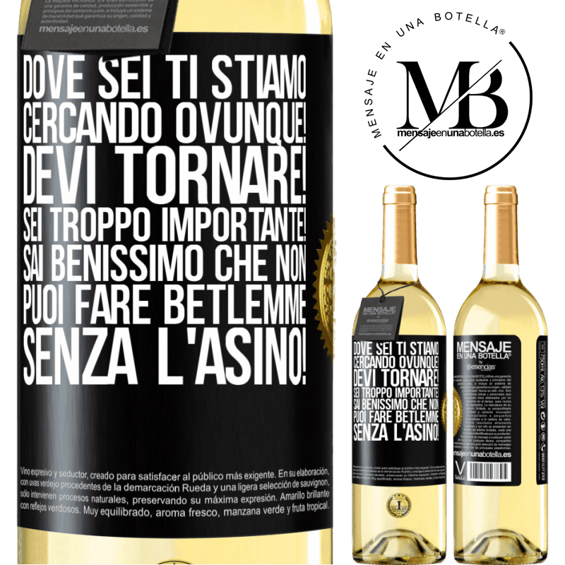 29,95 € Spedizione Gratuita | Vino bianco Edizione WHITE Dove sei Ti stiamo cercando ovunque! Devi tornare! Sei troppo importante! Sai benissimo che non puoi fare Betlemme senza Etichetta Nera. Etichetta personalizzabile Vino giovane Raccogliere 2023 Verdejo