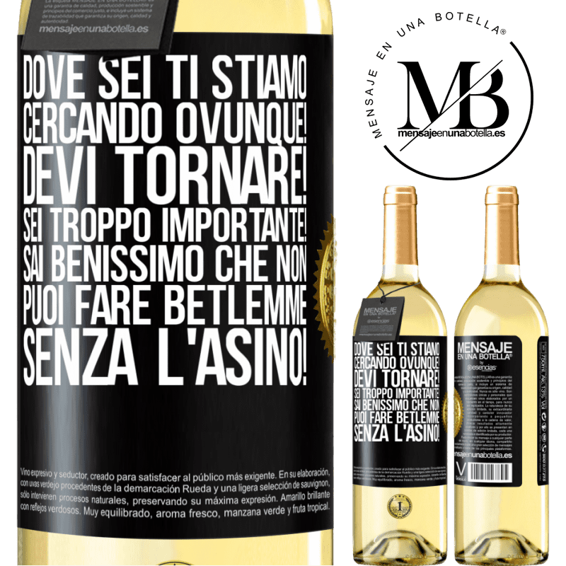 29,95 € Spedizione Gratuita | Vino bianco Edizione WHITE Dove sei Ti stiamo cercando ovunque! Devi tornare! Sei troppo importante! Sai benissimo che non puoi fare Betlemme senza Etichetta Nera. Etichetta personalizzabile Vino giovane Raccogliere 2025 Verdejo