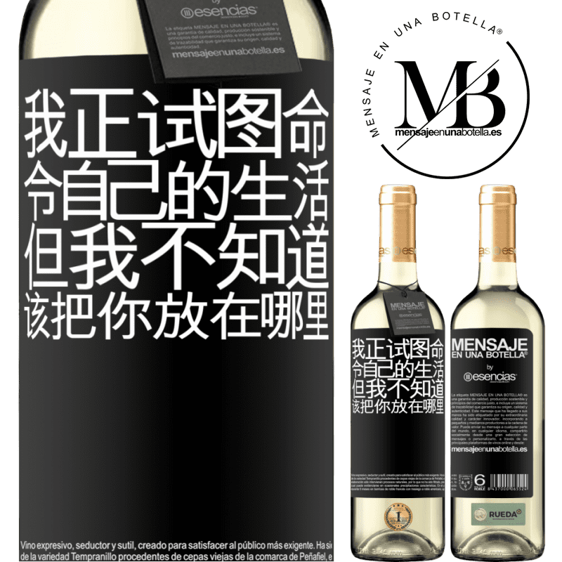 «我正试图命令自己的生活，但我不知道该把你放在哪里» WHITE版