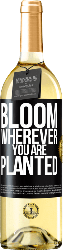 29,95 € | Белое вино Издание WHITE Цветет везде, где вы посажены Черная метка. Настраиваемая этикетка Молодое вино Урожай 2023 Verdejo
