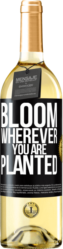 29,95 € | White Wine WHITE Edition It blooms wherever you are planted Black Label. Customizable label Young wine Harvest 2024 Verdejo