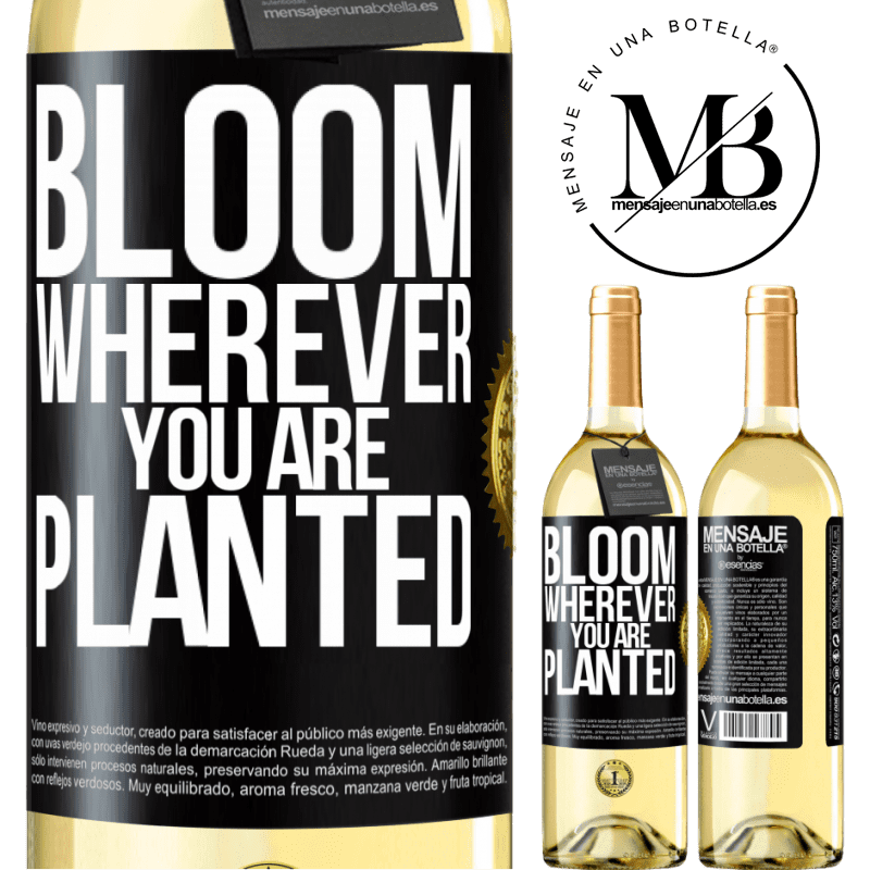 29,95 € Free Shipping | White Wine WHITE Edition It blooms wherever you are planted Black Label. Customizable label Young wine Harvest 2022 Verdejo