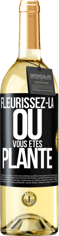 29,95 € Envoi gratuit | Vin blanc Édition WHITE Fleurissez- là où vous êtes planté Étiquette Noire. Étiquette personnalisable Vin jeune Récolte 2025 Verdejo