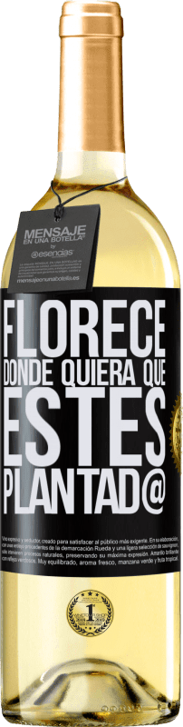 29,95 € | Vino Blanco Edición WHITE Florece donde quiera que estés plantad@ Etiqueta Negra. Etiqueta personalizable Vino joven Cosecha 2023 Verdejo