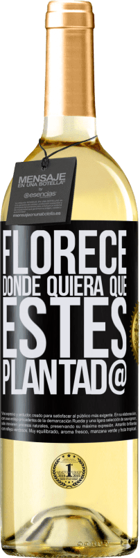 Envío gratis | Vino Blanco Edición WHITE Florece donde quiera que estés plantad@ Etiqueta Negra. Etiqueta personalizable Vino joven Cosecha 2023 Verdejo