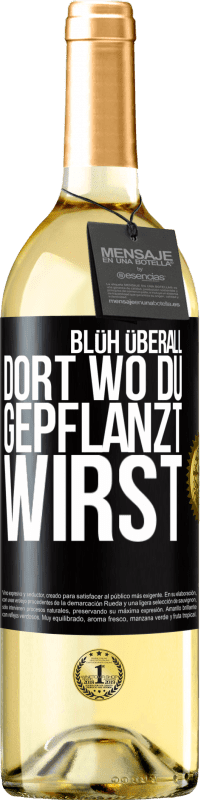 29,95 € Kostenloser Versand | Weißwein WHITE Ausgabe Blüh überall dort, wo du gepflanzt wirst Schwarzes Etikett. Anpassbares Etikett Junger Wein Ernte 2025 Verdejo