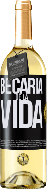 29,95 € | Vino Blanco Edición WHITE Becaria de la vida Etiqueta Negra. Etiqueta personalizable Vino joven Cosecha 2023 Verdejo