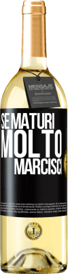 Riflessioni