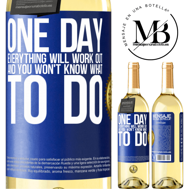 29,95 € Free Shipping | White Wine WHITE Edition One day everything will work out and you won't know what to do Blue Label. Customizable label Young wine Harvest 2022 Verdejo