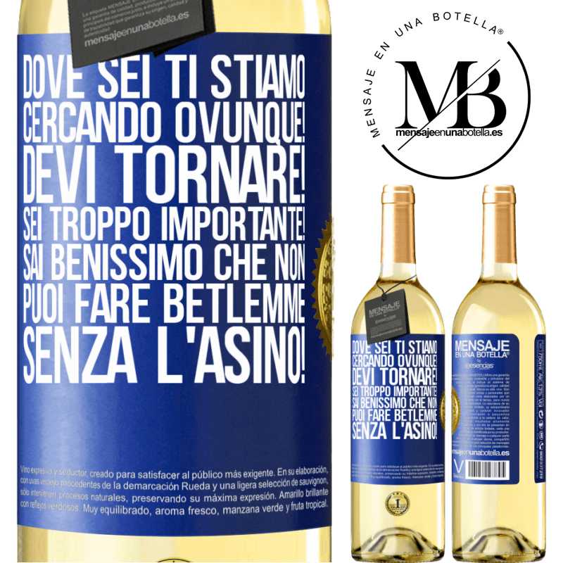 29,95 € Spedizione Gratuita | Vino bianco Edizione WHITE Dove sei Ti stiamo cercando ovunque! Devi tornare! Sei troppo importante! Sai benissimo che non puoi fare Betlemme senza Etichetta Blu. Etichetta personalizzabile Vino giovane Raccogliere 2023 Verdejo