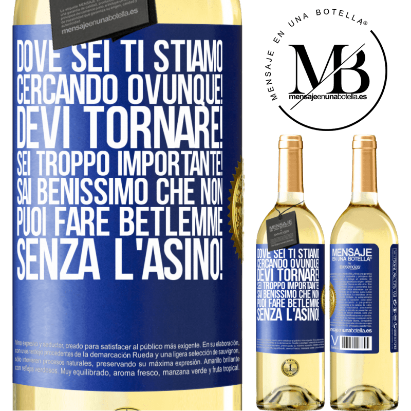 29,95 € Spedizione Gratuita | Vino bianco Edizione WHITE Dove sei Ti stiamo cercando ovunque! Devi tornare! Sei troppo importante! Sai benissimo che non puoi fare Betlemme senza Etichetta Blu. Etichetta personalizzabile Vino giovane Raccogliere 2025 Verdejo