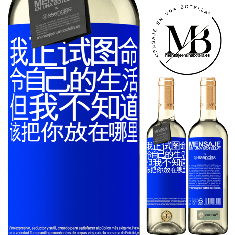 «我正试图命令自己的生活，但我不知道该把你放在哪里» WHITE版