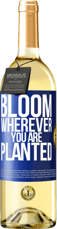29,95 € | Белое вино Издание WHITE Цветет везде, где вы посажены Синяя метка. Настраиваемая этикетка Молодое вино Урожай 2023 Verdejo