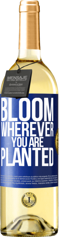 29,95 € | White Wine WHITE Edition It blooms wherever you are planted Blue Label. Customizable label Young wine Harvest 2024 Verdejo