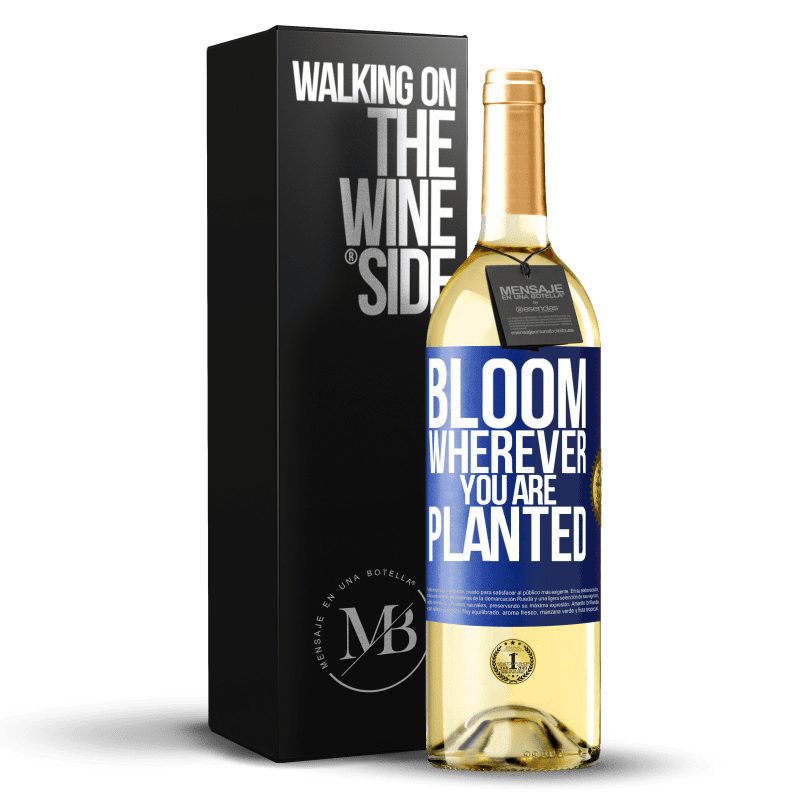 29,95 € Free Shipping | White Wine WHITE Edition It blooms wherever you are planted Blue Label. Customizable label Young wine Harvest 2024 Verdejo