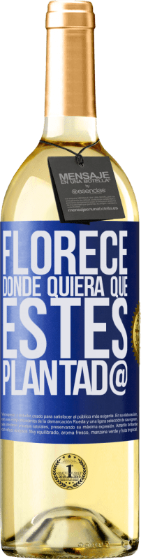 29,95 € | Vino Blanco Edición WHITE Florece donde quiera que estés plantad@ Etiqueta Azul. Etiqueta personalizable Vino joven Cosecha 2023 Verdejo