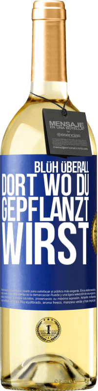 29,95 € | Weißwein WHITE Ausgabe Blüh überall dort, wo du gepflanzt wirst Blaue Markierung. Anpassbares Etikett Junger Wein Ernte 2023 Verdejo