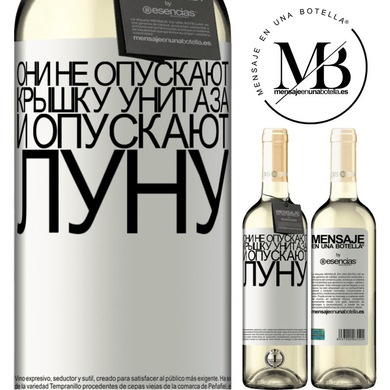 «Они не опускают крышку унитаза и опускают луну» Издание WHITE