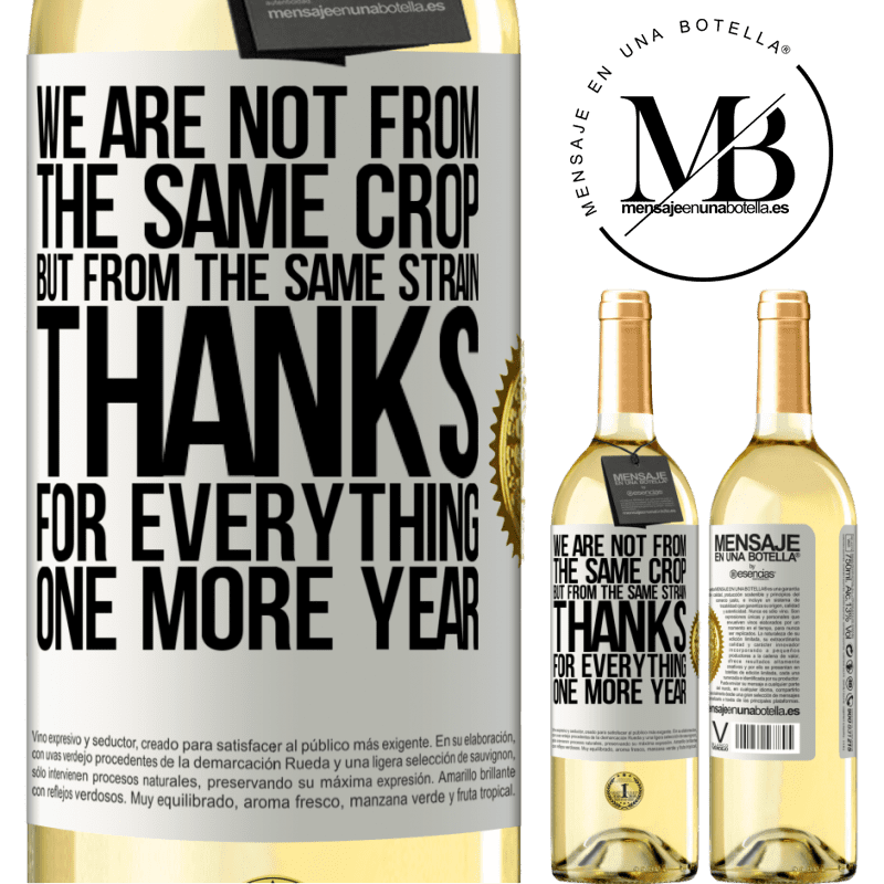 29,95 € Free Shipping | White Wine WHITE Edition We are not from the same crop, but from the same strain. Thanks for everything, one more year White Label. Customizable label Young wine Harvest 2023 Verdejo