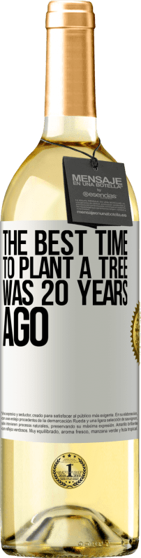 29,95 € | Белое вино Издание WHITE Лучшее время для посадки деревьев было 20 лет назад Белая этикетка. Настраиваемая этикетка Молодое вино Урожай 2023 Verdejo