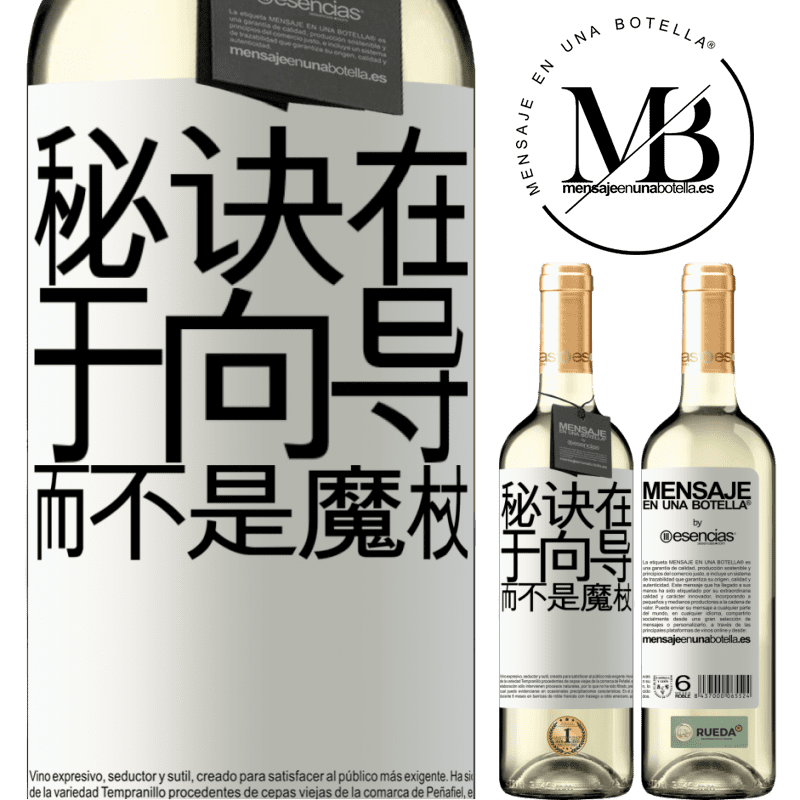 «秘诀在于向导，而不是魔杖» WHITE版