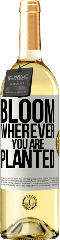 29,95 € | White Wine WHITE Edition It blooms wherever you are planted White Label. Customizable label Young wine Harvest 2023 Verdejo