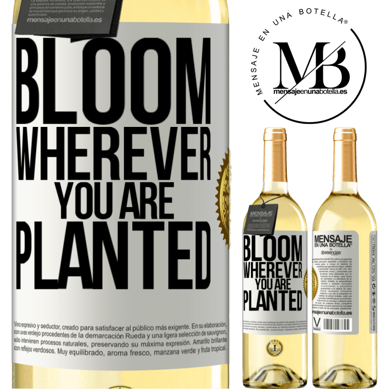 29,95 € Free Shipping | White Wine WHITE Edition It blooms wherever you are planted White Label. Customizable label Young wine Harvest 2022 Verdejo