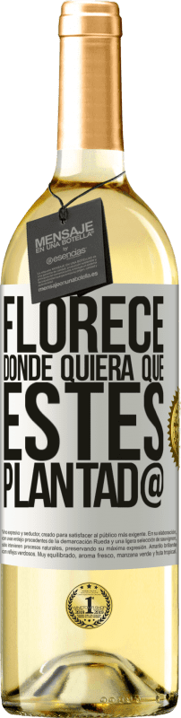 29,95 € | Vino Blanco Edición WHITE Florece donde quiera que estés plantad@ Etiqueta Blanca. Etiqueta personalizable Vino joven Cosecha 2024 Verdejo