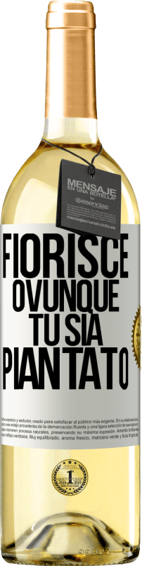 29,95 € | Vino bianco Edizione WHITE Fiorisce ovunque tu sia piantato Etichetta Bianca. Etichetta personalizzabile Vino giovane Raccogliere 2024 Verdejo