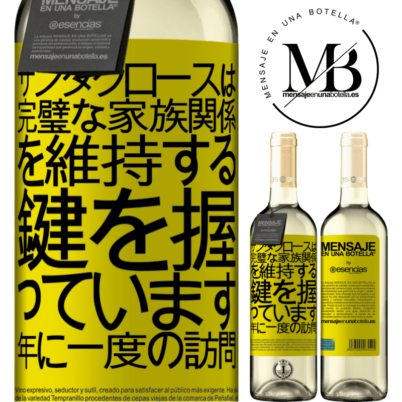 «サンタクロースは完璧な家族関係を維持する鍵を握っています。年に一度の訪問» WHITEエディション