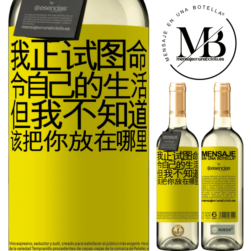«我正试图命令自己的生活，但我不知道该把你放在哪里» WHITE版