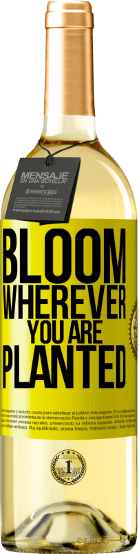 «It blooms wherever you are planted» WHITE Edition