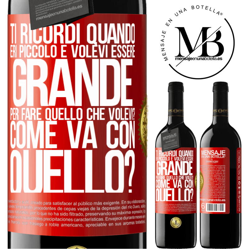 39,95 € Spedizione Gratuita | Vino rosso Edizione RED MBE Riserva ti ricordi quando eri piccolo e volevi essere grande per fare quello che volevi? Come va con quello? Etichetta Rossa. Etichetta personalizzabile Riserva 12 Mesi Raccogliere 2015 Tempranillo