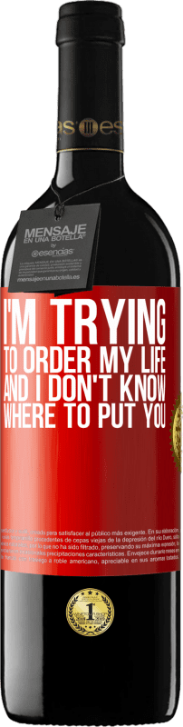 «I'm trying to order my life, and I don't know where to put you» RED Edition MBE Reserve
