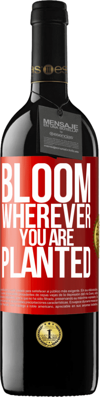 39,95 € | Red Wine RED Edition MBE Reserve It blooms wherever you are planted Red Label. Customizable label Reserve 12 Months Harvest 2015 Tempranillo