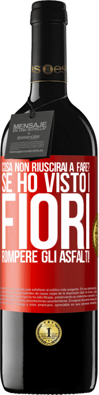 39,95 € | Vino rosso Edizione RED MBE Riserva cosa non riuscirai a fare? Se ho visto i fiori rompere gli asfalti! Etichetta Rossa. Etichetta personalizzabile Riserva 12 Mesi Raccogliere 2015 Tempranillo