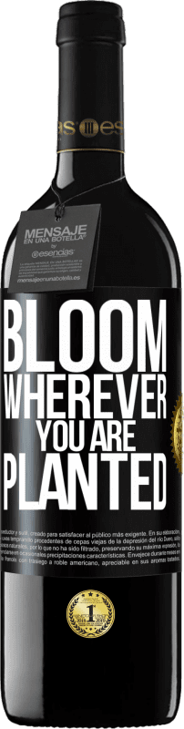39,95 € | Red Wine RED Edition MBE Reserve It blooms wherever you are planted Black Label. Customizable label Reserve 12 Months Harvest 2014 Tempranillo