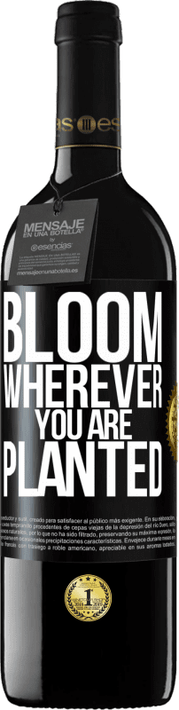 39,95 € | Red Wine RED Edition MBE Reserve It blooms wherever you are planted Black Label. Customizable label Reserve 12 Months Harvest 2015 Tempranillo