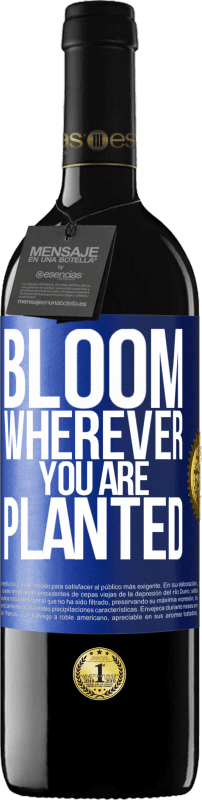 39,95 € | 赤ワイン REDエディション MBE 予約する どこに植えても咲く 青いタグ. カスタマイズ可能なラベル 予約する 12 月 収穫 2014 Tempranillo