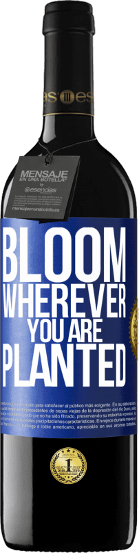 39,95 € | Red Wine RED Edition MBE Reserve It blooms wherever you are planted Blue Label. Customizable label Reserve 12 Months Harvest 2015 Tempranillo