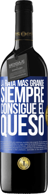 Negocios