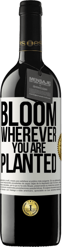 39,95 € | Red Wine RED Edition MBE Reserve It blooms wherever you are planted White Label. Customizable label Reserve 12 Months Harvest 2014 Tempranillo