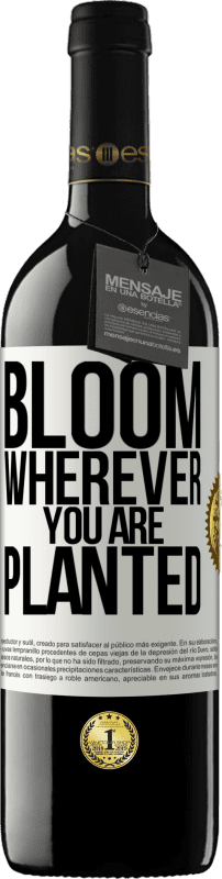 39,95 € | Red Wine RED Edition MBE Reserve It blooms wherever you are planted White Label. Customizable label Reserve 12 Months Harvest 2015 Tempranillo