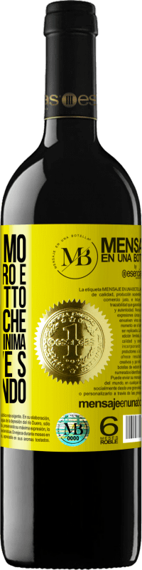 «Passo fermo, dritto indietro e guardare dritto. Non notare che non abbiamo la minima idea di dove stiamo andando» Edizione RED MBE Riserva